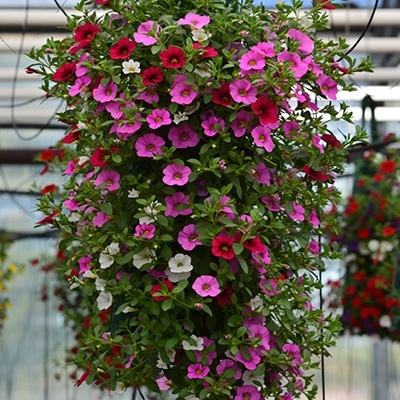 hangzakken-met-bloemen-8
