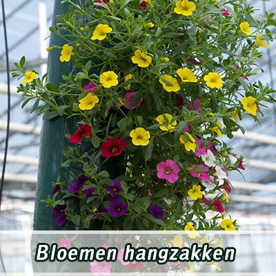 hangzakken