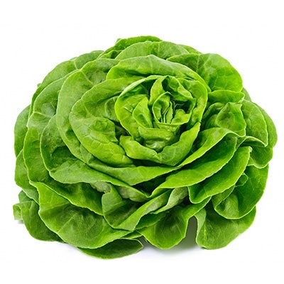 kropsla-groen-lactuca-sativa-var-capitata