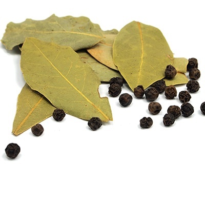laurier-laurus-nobilis