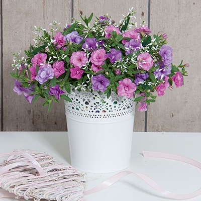 mix-3-in-1-trixi_lovely-summer_ambiente