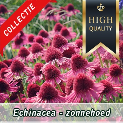 zonnehoed
