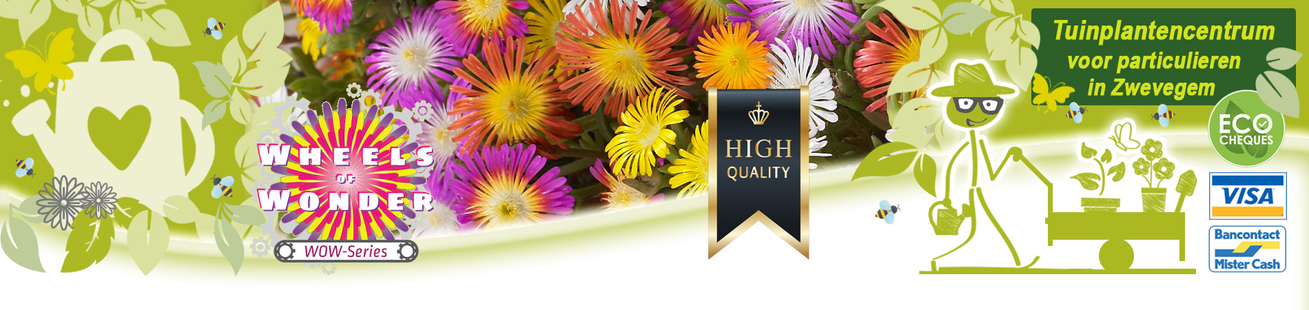 winterharde ijsbloemen kopen